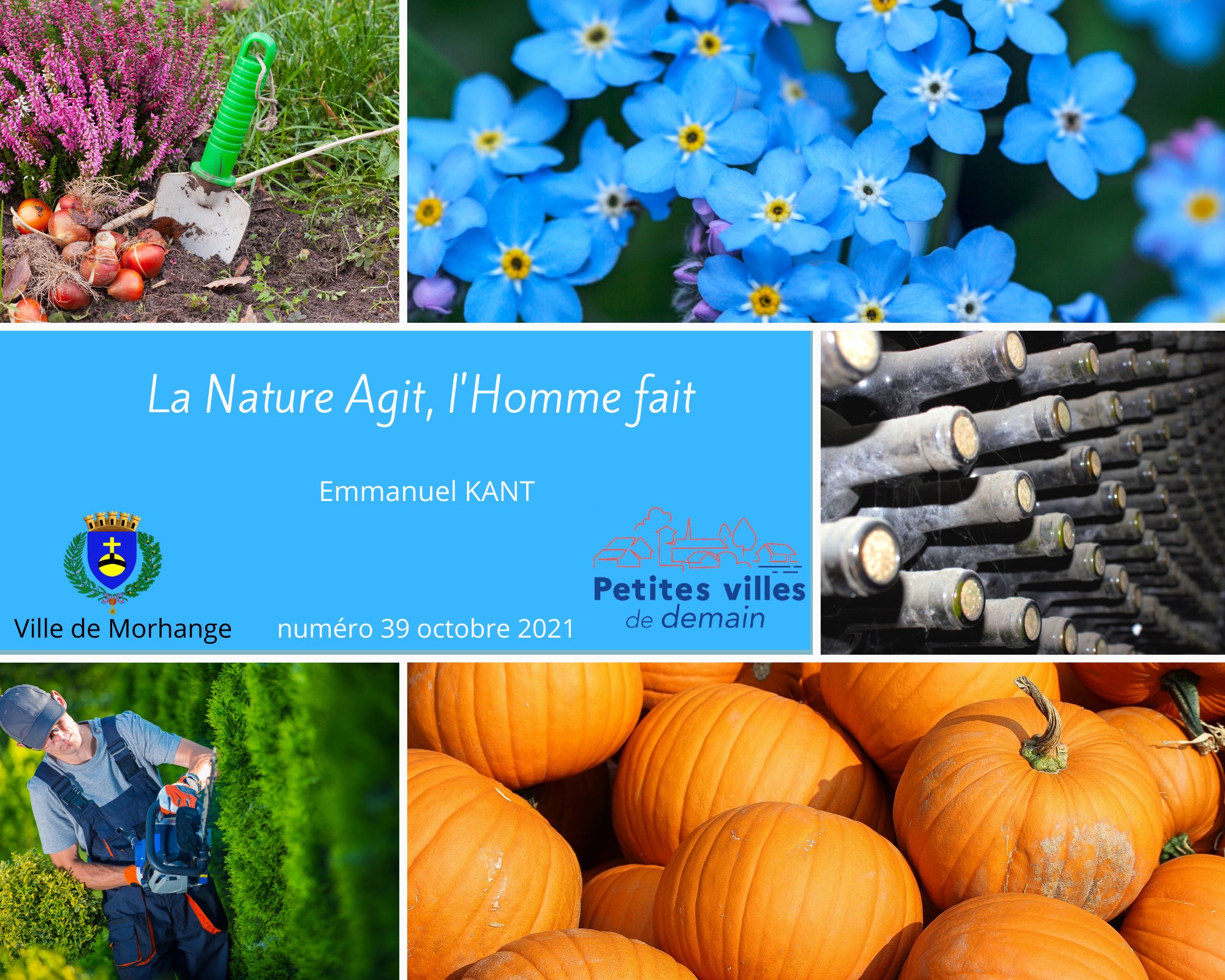 La nature agit, l'homme fait : Semaine 39